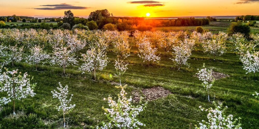 annapolis valley